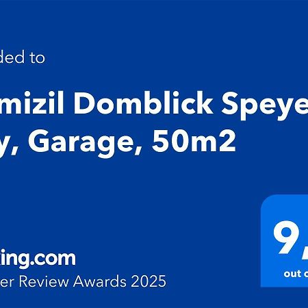 Domizil Domblick Speyer City, Garage, 50M2 Ngoại thất bức ảnh