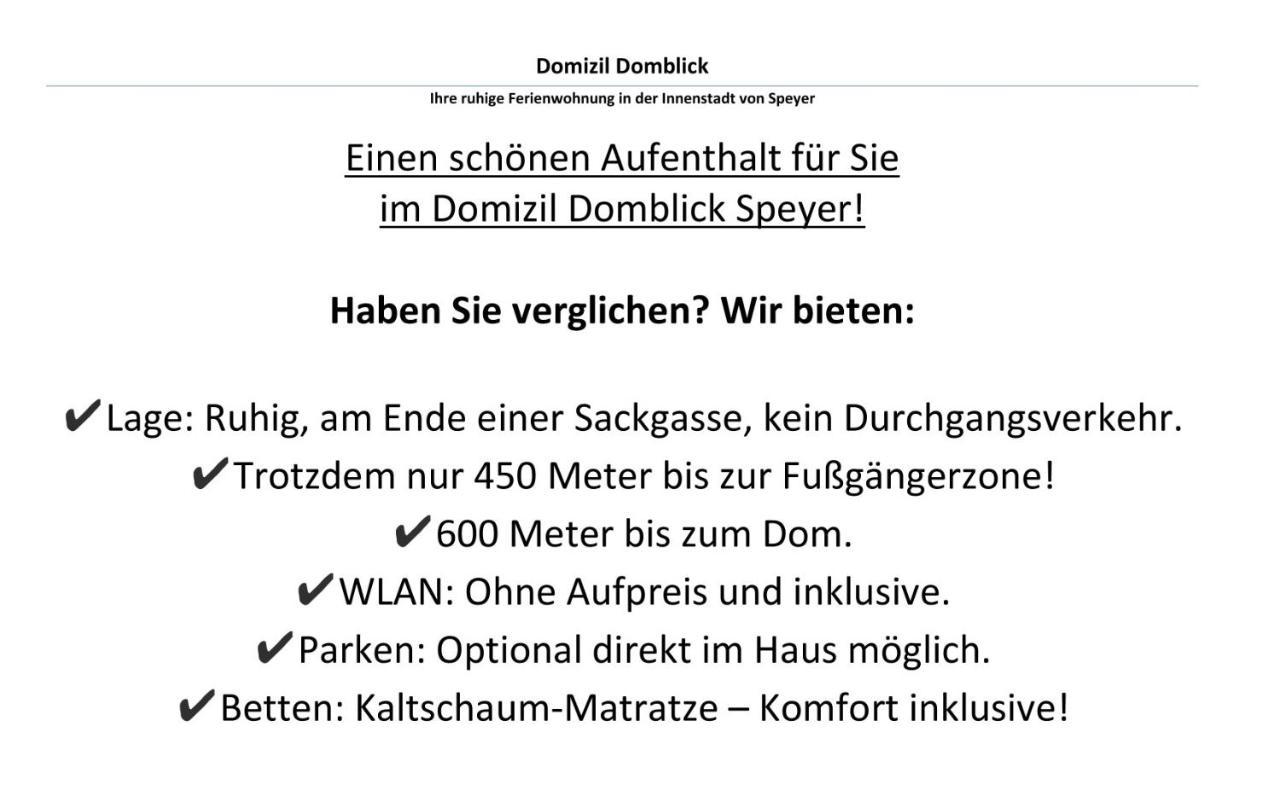 Domizil Domblick Speyer City, Garage, 50M2 Ngoại thất bức ảnh