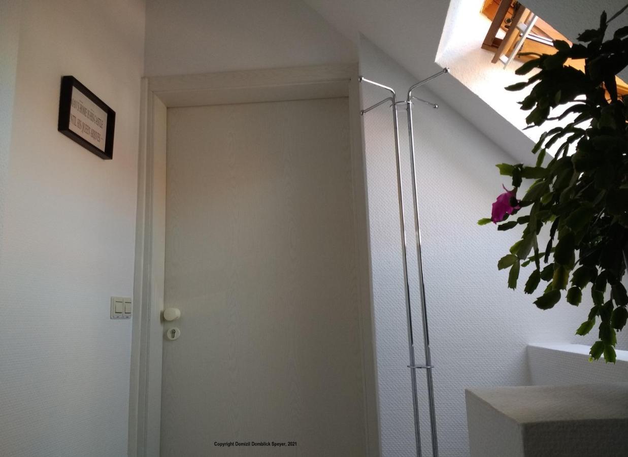 Domizil Domblick Speyer City, Garage, 50M2 Ngoại thất bức ảnh